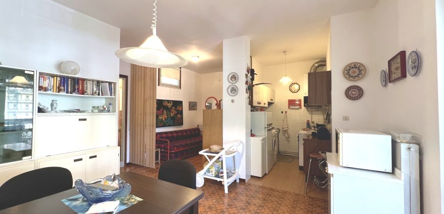 WOHNUNG MIT GROẞER TERRASSE IN PINETA