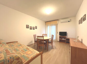 RENOVATED ONE-BEDROOM FLAT WITH TERRACE #21