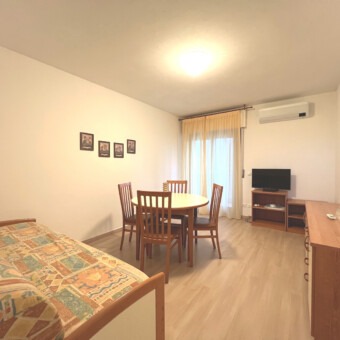 RENOVATED ONE-BEDROOM FLAT WITH TERRACE #21